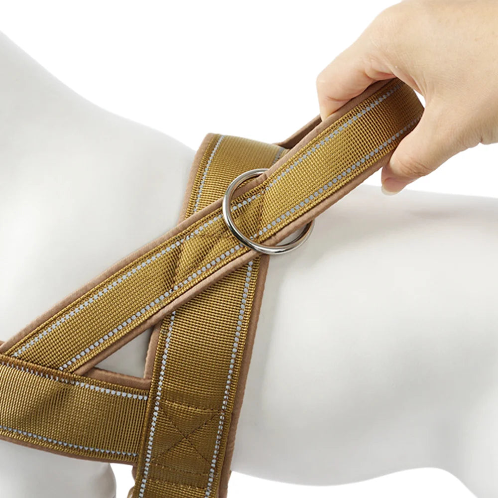 S3bc88ae35c544ab6af96ee4ce8acbd7bD