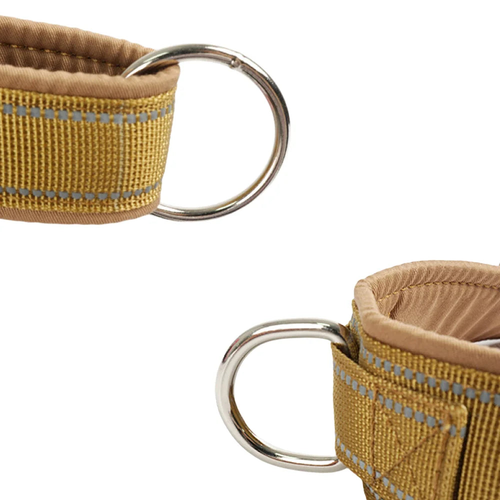 S796481adb7214389af5f16e16840a933w